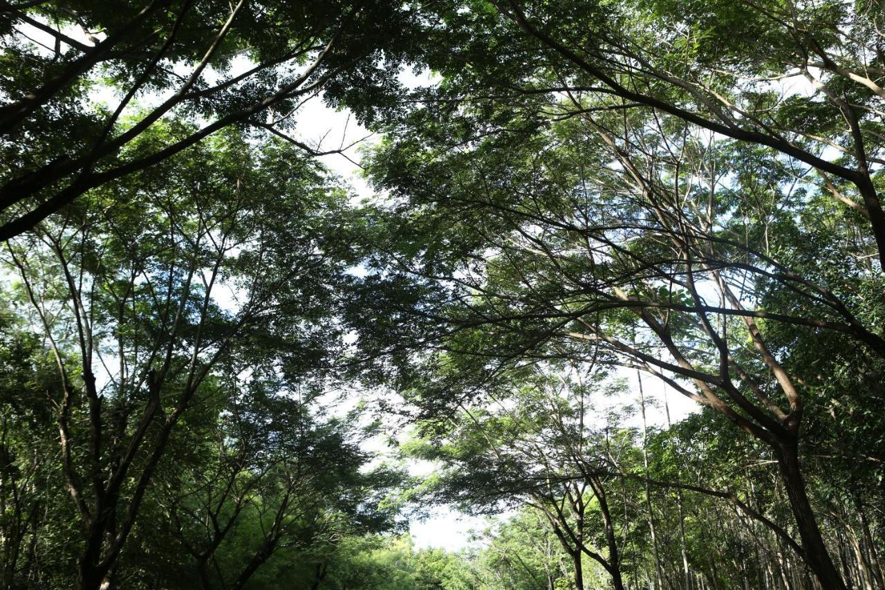 Intercontinental Khao Yai Resort By Ihg Pak Chong Exteriör bild