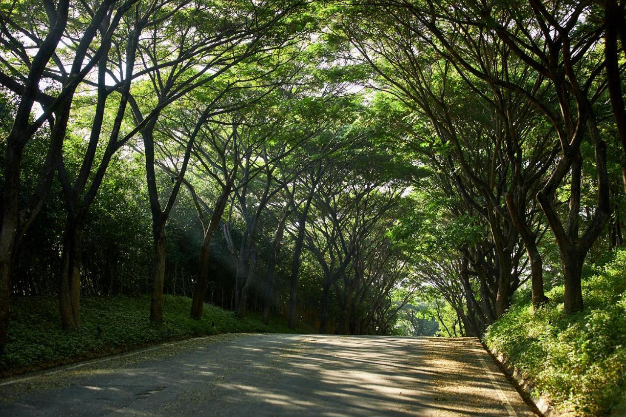 Intercontinental Khao Yai Resort By Ihg Pak Chong Exteriör bild